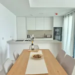 Happy Travel Lomas Daisy Higueron