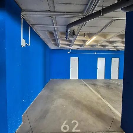 Happy Travel Lomas Daisy Higueron