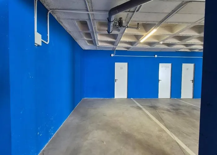 Happy Travel Lomas Daisy Higueron